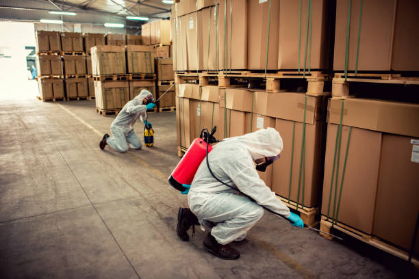 Best Exterminator Services  in Carrollton, GA
