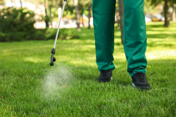 Best Pest Removal Services  in Carrollton, GA