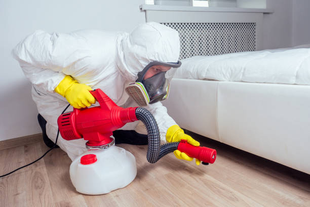 Professional Pest Control in Carrollton, GA