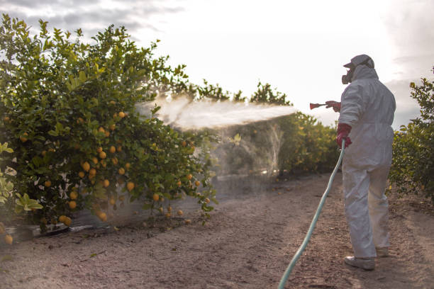 Best Pest Prevention Services  in Carrollton, GA