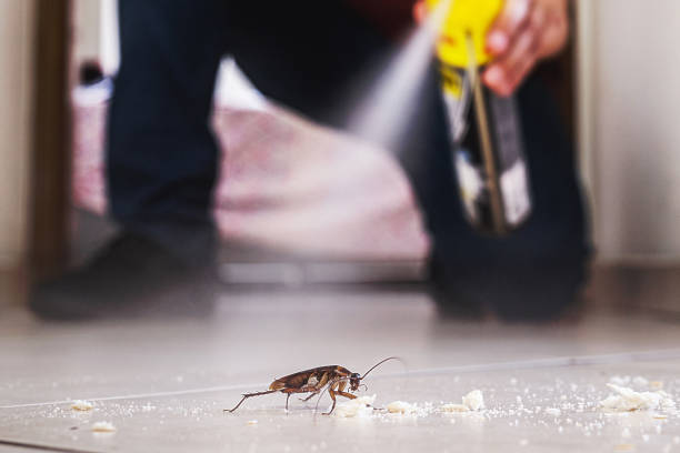 Best Affordable Pest Control Services  in Carrollton, GA