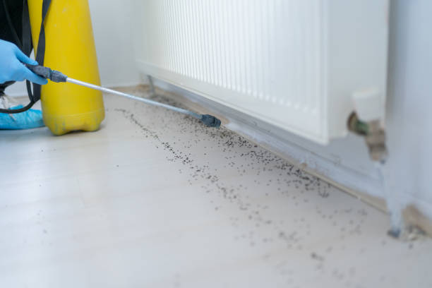 Best Best Pest Control Companies  in Carrollton, GA
